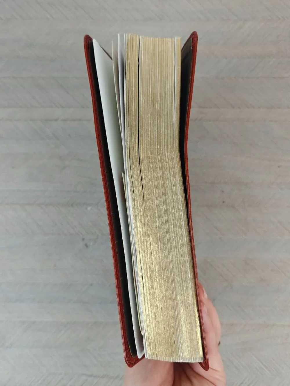 Holman Rainbow Study Bible NIV Edition 2015 Cocoa Terra Cotta LeatherTouch